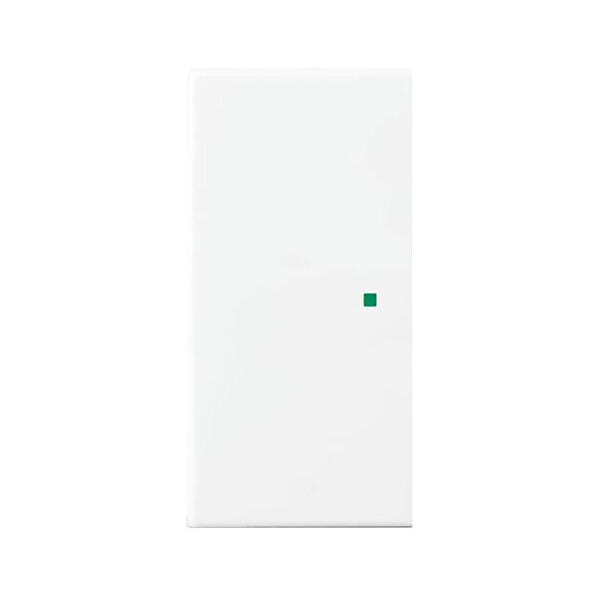Busch-Jaeger Wippe aws Busch-balance SI 6230-20-914
